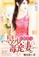 掠妻简介