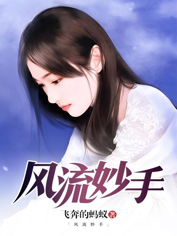 风流悟简介