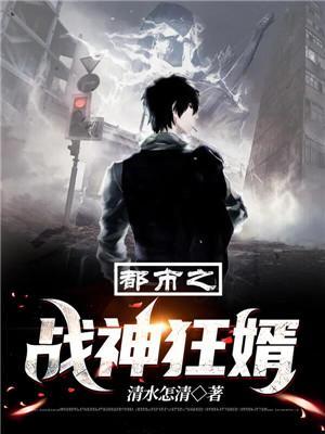 都市之战神狂婿叶锋TXT