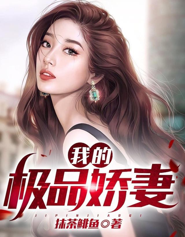 我的极品老婆最新章节(小二著)