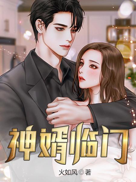神婿临门有声