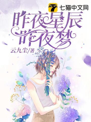 昨夜星辰昨日梦什么意思