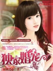 独家婚宠完整版