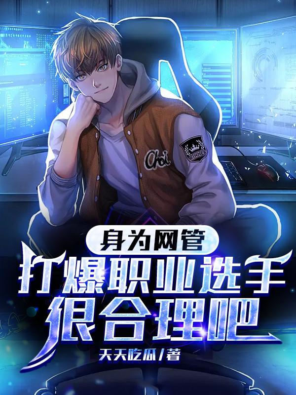 身为网管打爆职业选手很合理吧txt百度