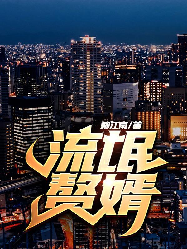 流氓赘婿精校版TXT