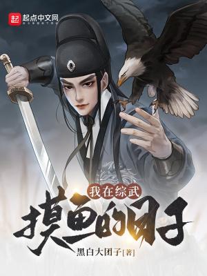 我在综武摸鱼的日子等级