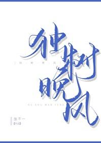 独树晚风 百度