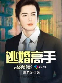逃婚高手风中阳光免费
