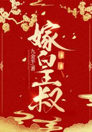 嫁皇叔西朝txt资源