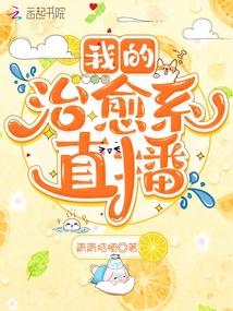 我的治愈系直播飞