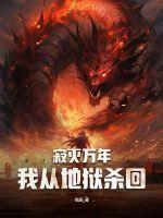 寂灭万乘全文免费