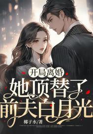 开局就离婚的
