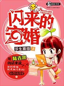 闪来的暖婚免费阅读