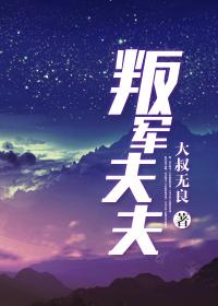 叛军夫夫在线阅读