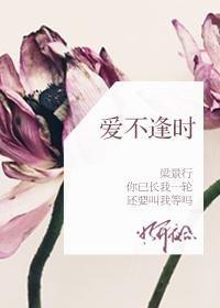 爱不逢时明开夜合免费阅读