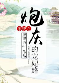 系统之炮灰的宠妃路无防盗章