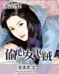 偷心女盗剧情介绍