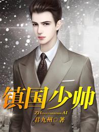 镇国少帅免费