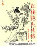 红楼炮灰攻略txt书包