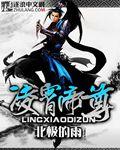 凌霄帝尊 一片青叶