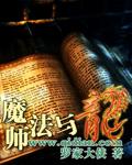 魔法师与龙族少女