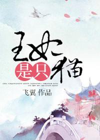 王妃是只猫第三季剧情
