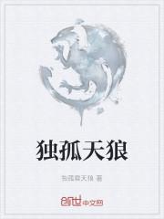 独孤皇后天狼影视