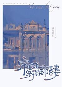 宋小姐终于钓到了老婆免费阅读全文笔趣阁