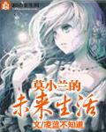 漠小兰的作品