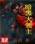 暗黑破坏领主怎么玩