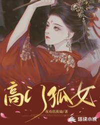高门孤女剧集看点