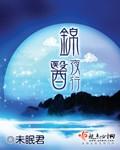 锦医夜行凤今