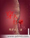 穿入红楼 释家传人