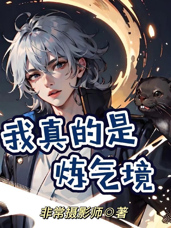 我真是练气境