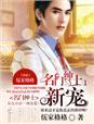 名门绅士 原著