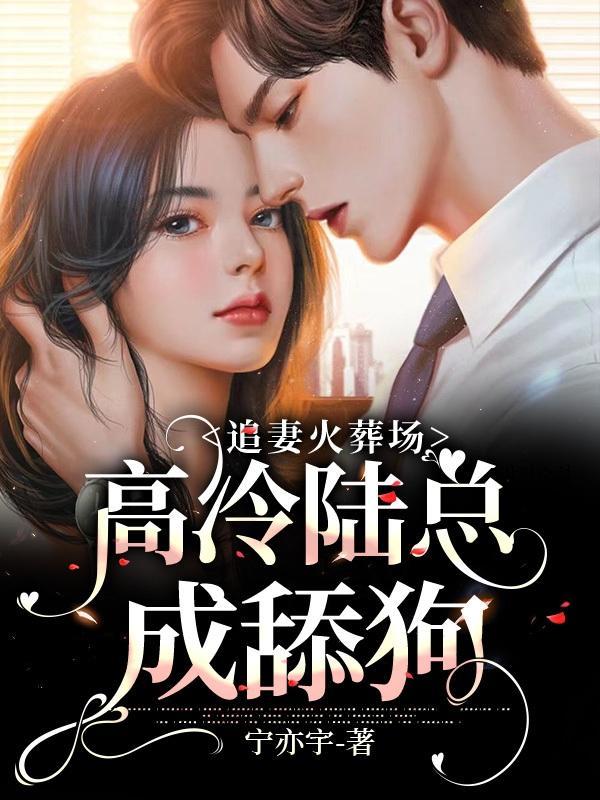 陆总他追妻火葬厂