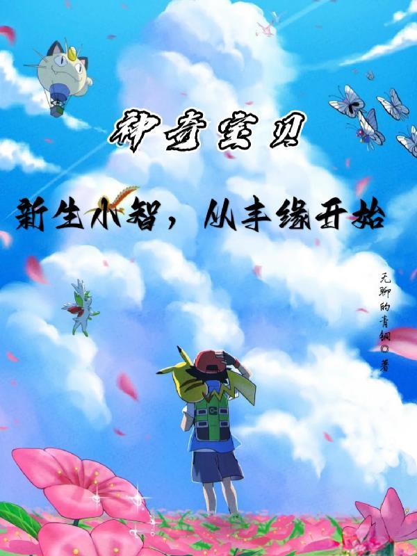 神奇宝贝小智的巅峰