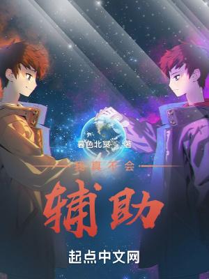 我真的是辅助啊