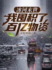 冰河末世我囤积了百亿物资等级