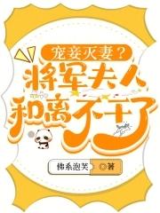 书名将军妻妾