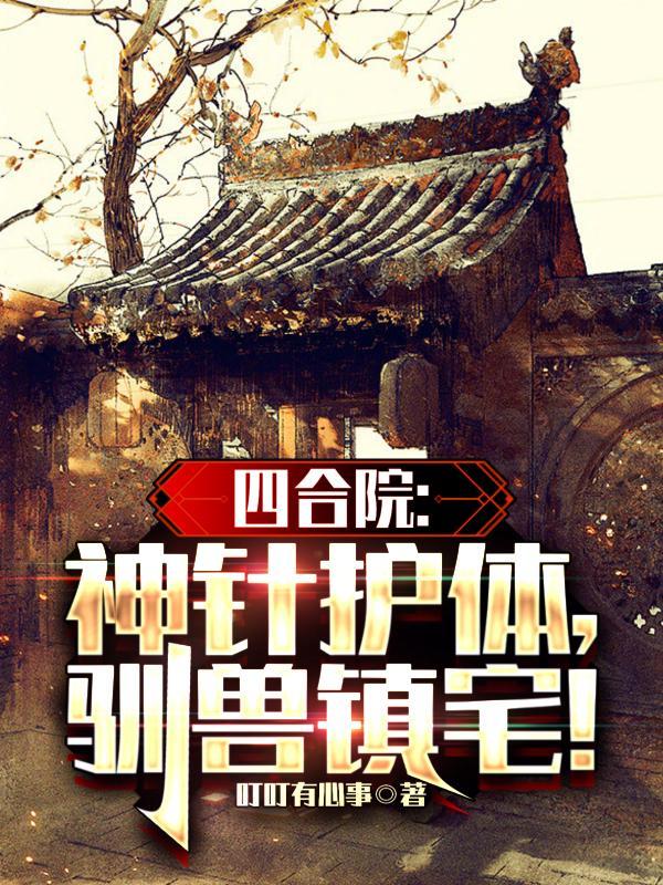四合院神针护体驯兽镇宅