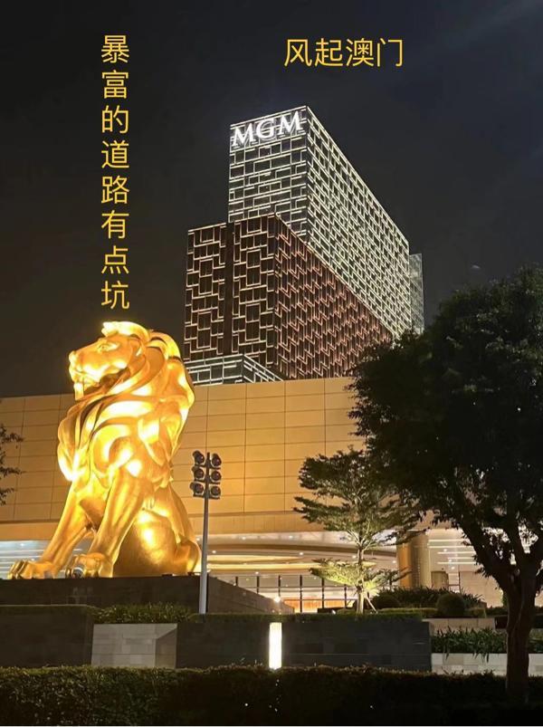 暴富的道路有点坑