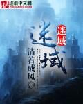 迷域行者第二季完整版