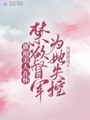 旗袍美人电视剧