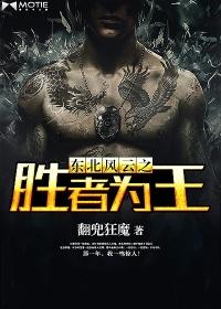 东北风云12集