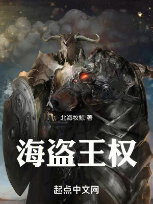 海盗王权精校全本TXT