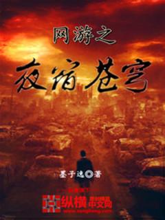 网游之苍穹圣枪免费阅读