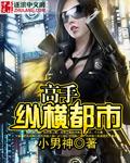 高手异界纵横