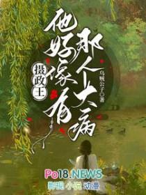 摄政王他好像有那个大病晋江