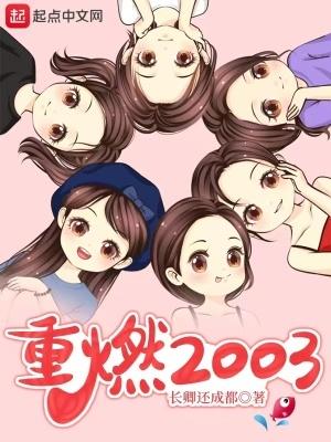 重燃2003txt精校版